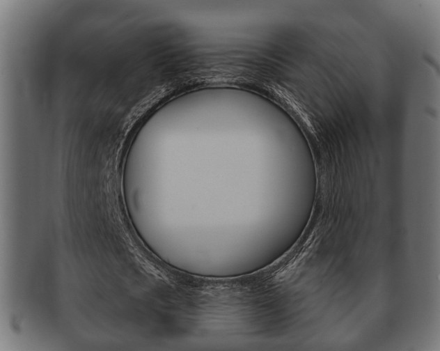 X0000091950721200709061039
