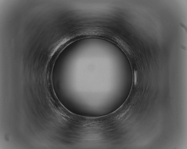 X0000091950723200709061039