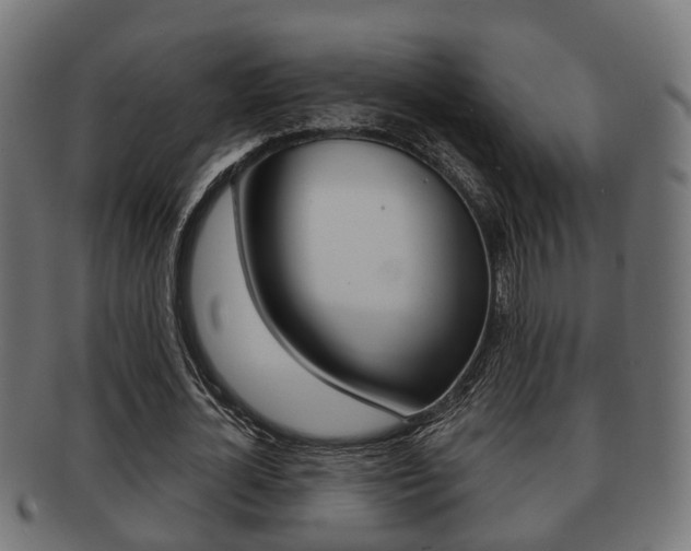 X0000091950724200709061039