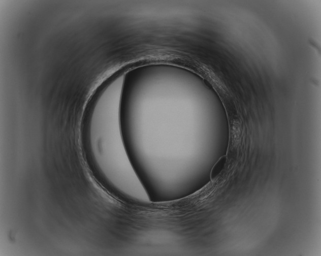 X0000091950726200709061039
