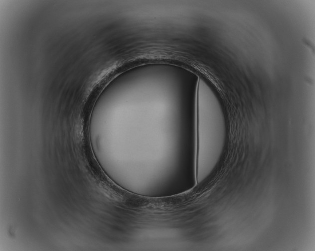 X0000091950727200709061039
