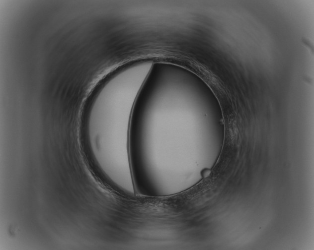 X0000091950728200709061039