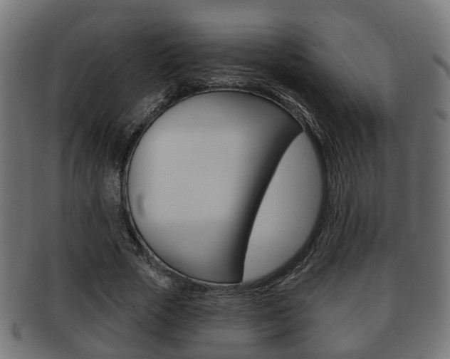 X0000091950729200709061039