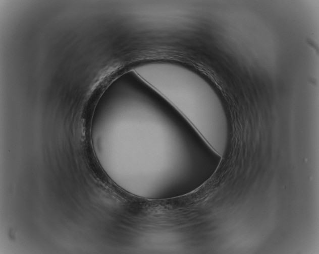 X0000091950731200709061039