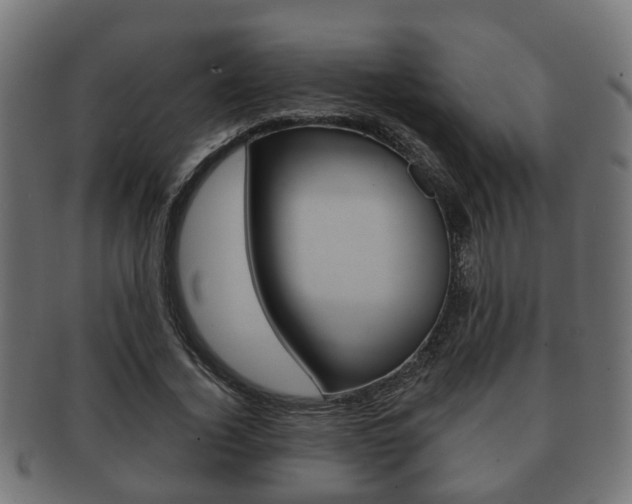 X0000091950732200709061039