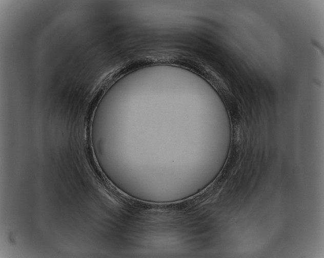 X0000091950733200709061039