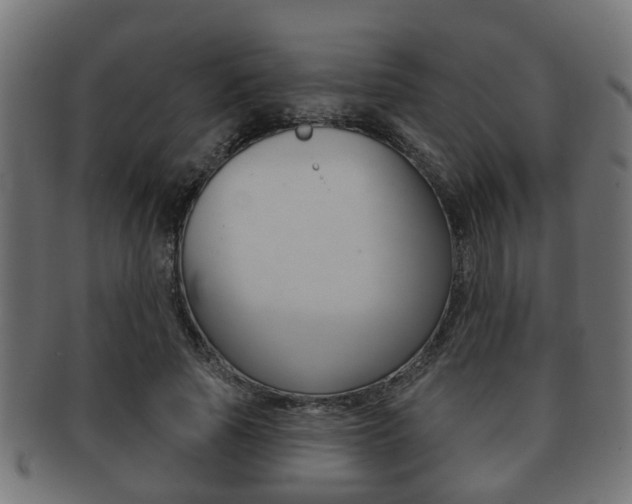 X0000091950737200709061039