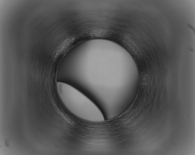 X0000091950738200709061039
