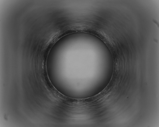 X0000091950739200709061039