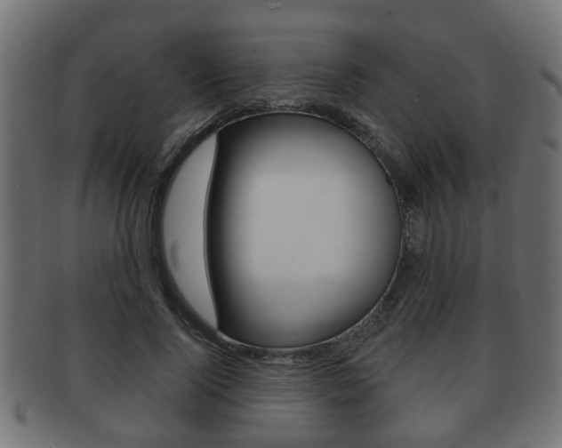 X0000091950740200709061039
