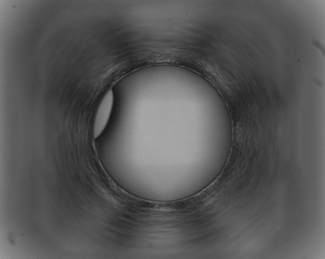 X0000091950741200709061039