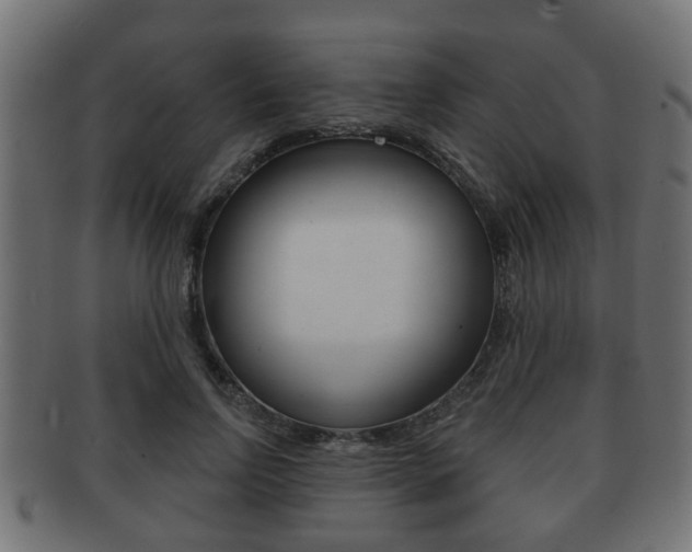 X0000091950742200709061039