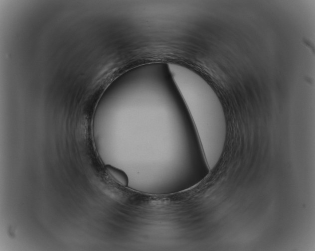 X0000091950744200709061039