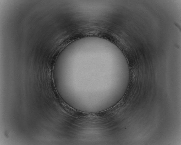X0000091950745200709061039