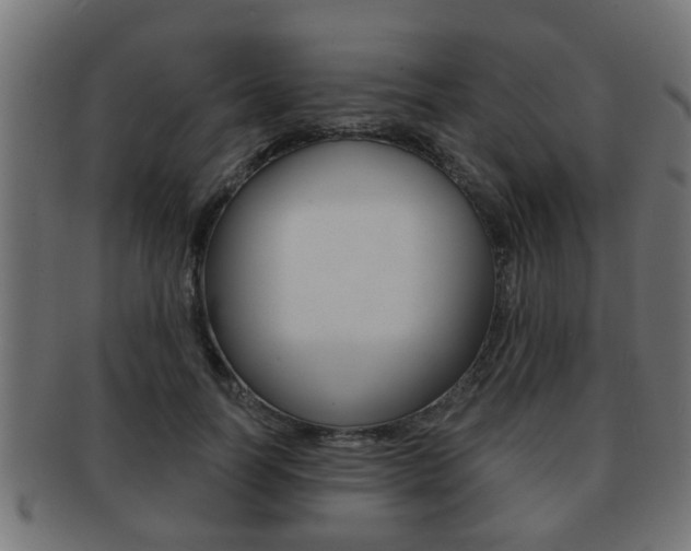 X0000091950746200709061039