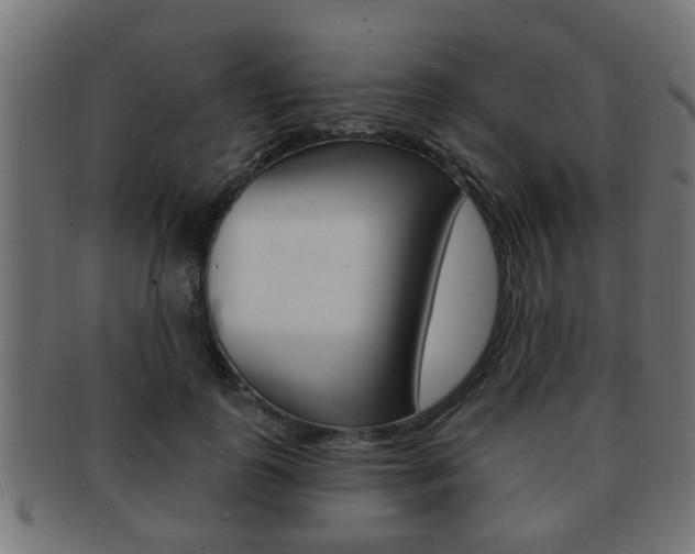 X0000091950747200709061039