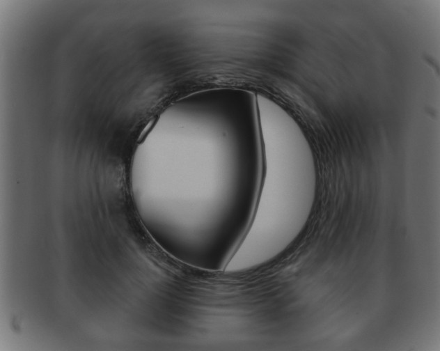 X0000091950748200709061039