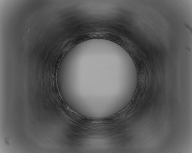 X0000091950749200709061039