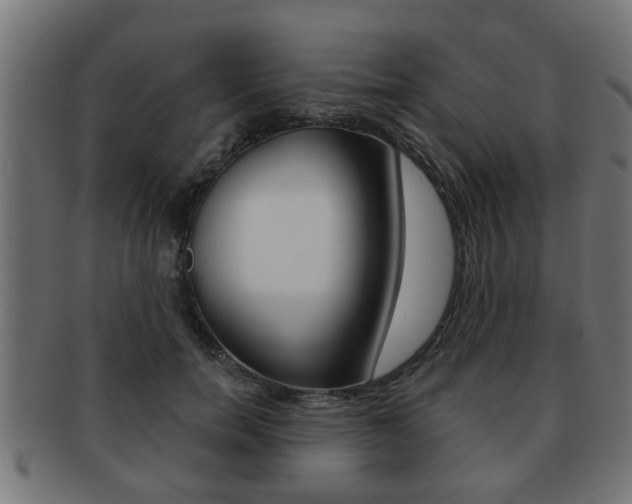 X0000091950750200709061039