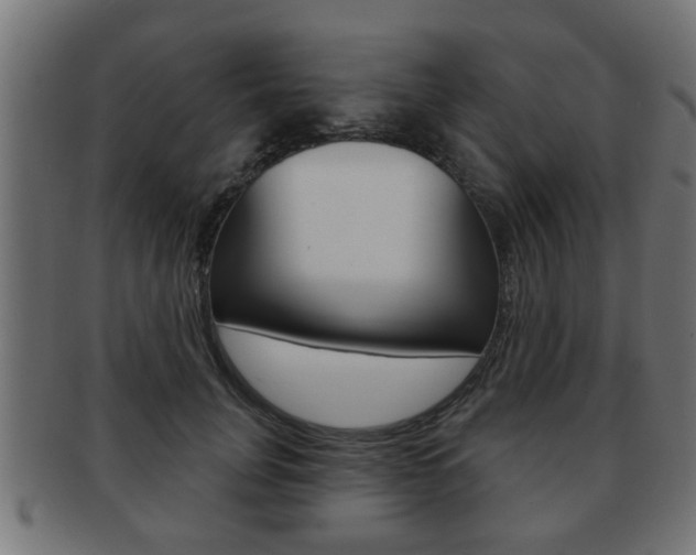 X0000091950751200709061039