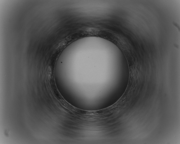 X0000091950752200709061039