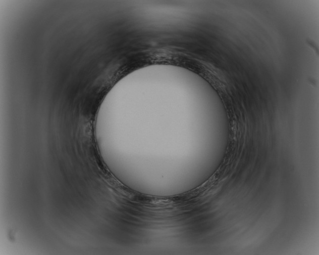 X0000091950753200709061039