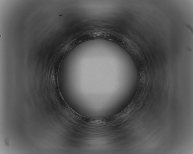 X0000091950754200709061039