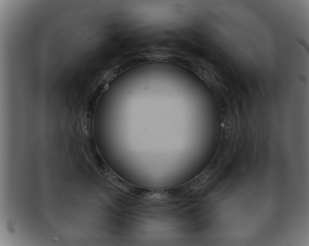 X0000091950755200709061039