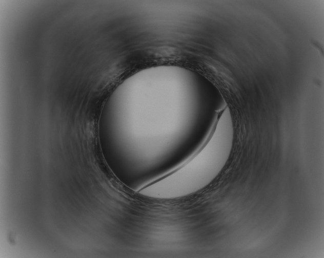 X0000091950756200709061039
