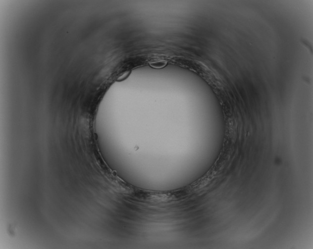 X0000091950757200709061039