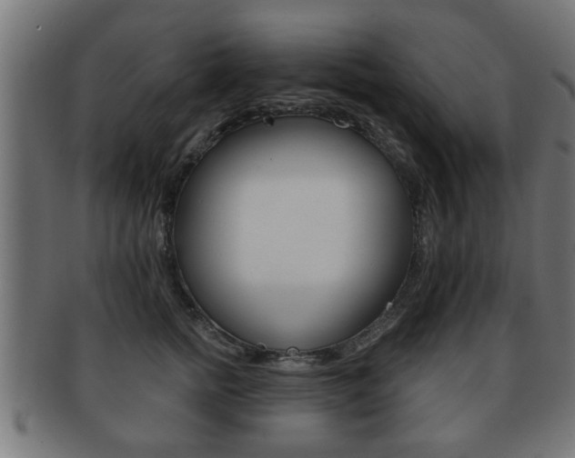 X0000091950758200709061039