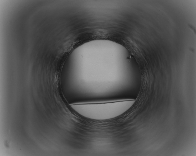X0000091950759200709061039