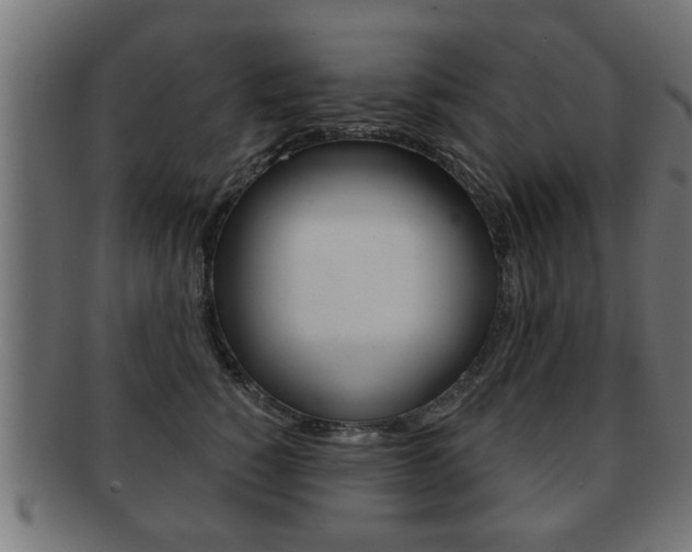X0000091950760200709061039