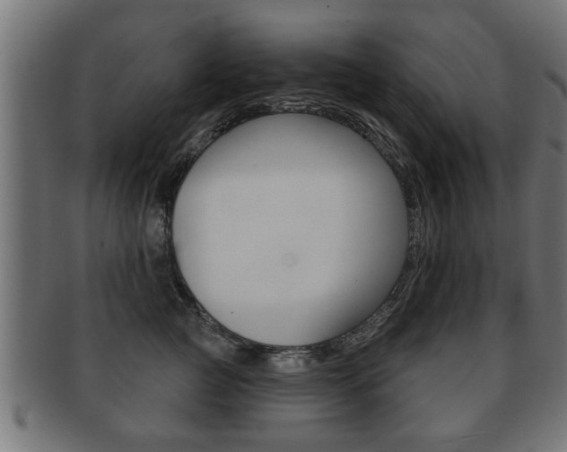X0000091950761200709061039
