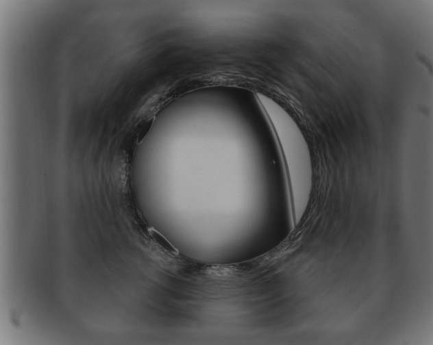 X0000091950762200709061039