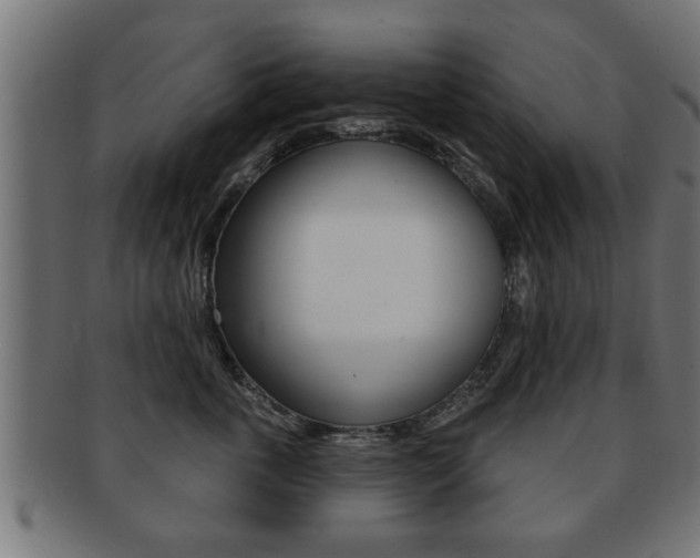 X0000091950763200709061039