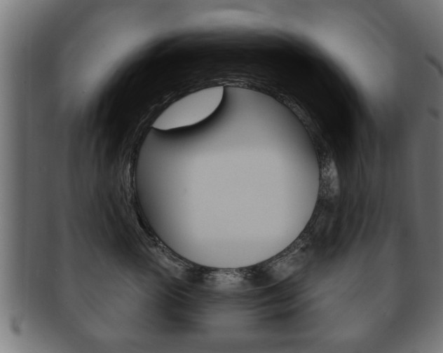 X0000091950765200709061039