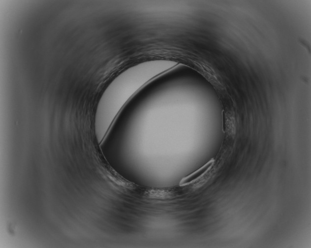 X0000091950766200709061039