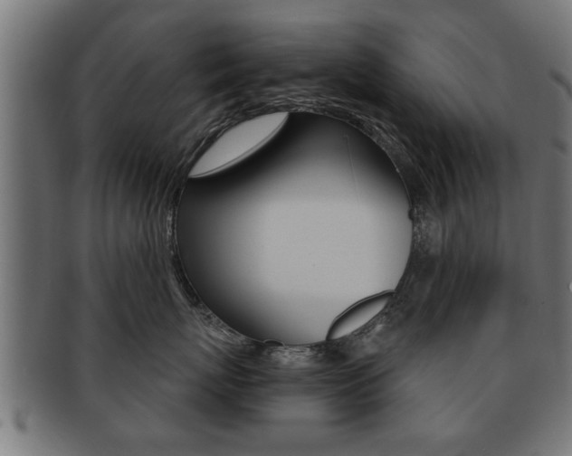 X0000091950767200709061039