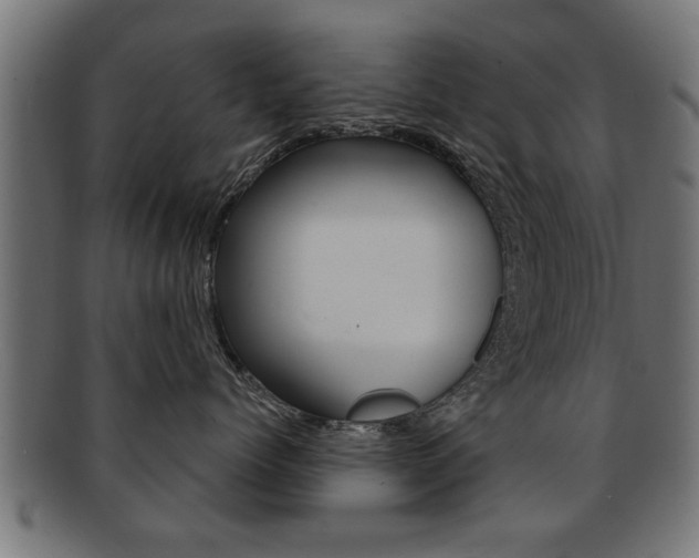X0000091950768200709061039