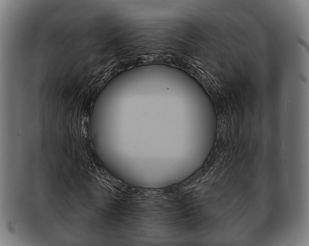 X0000091950770200709061039