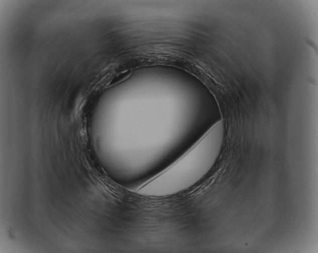 X0000091950771200709061039