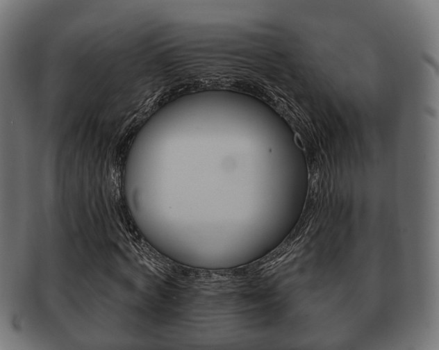 X0000091950772200709061039