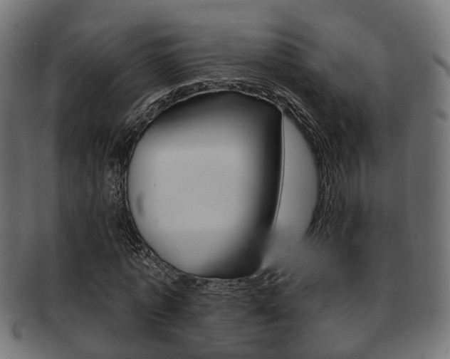 X0000091950773200709061039
