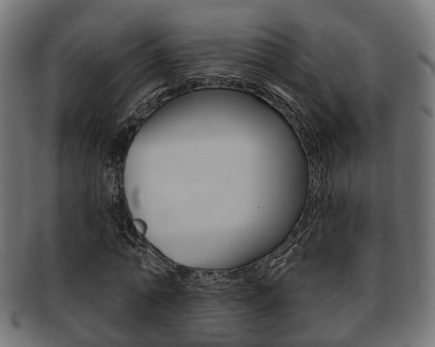 X0000091950774200709061039