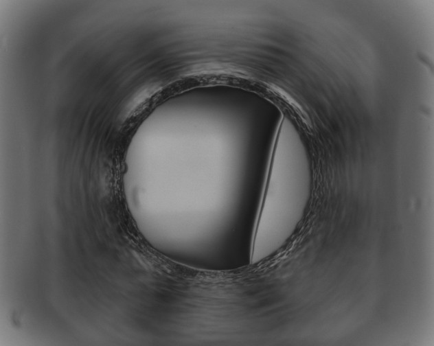 X0000091950775200709061039