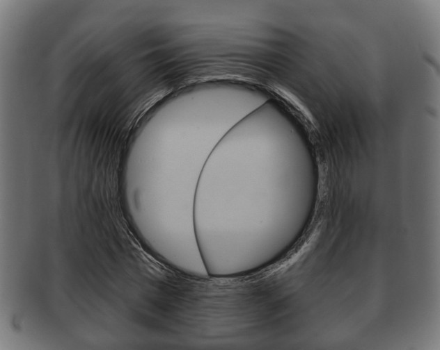 X0000091950777200709061039
