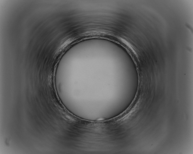 X0000091950778200709061039