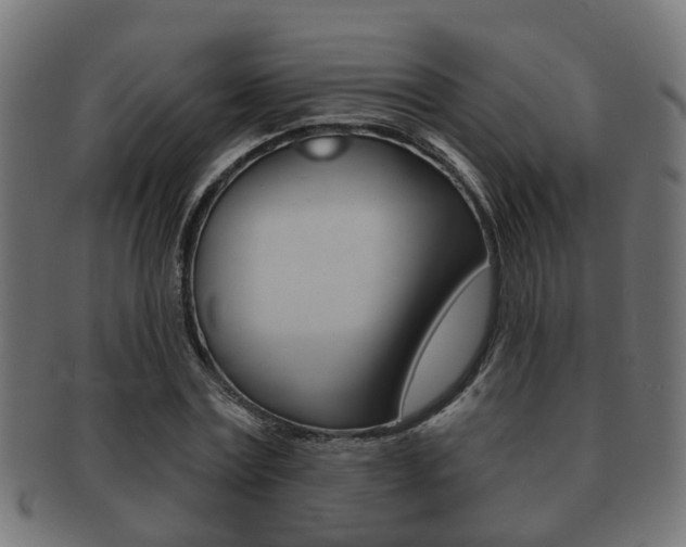 X0000091950779200709061039