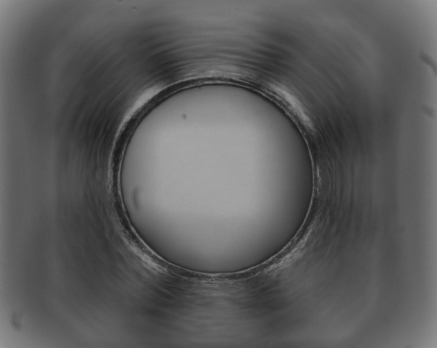 X0000091950780200709061039